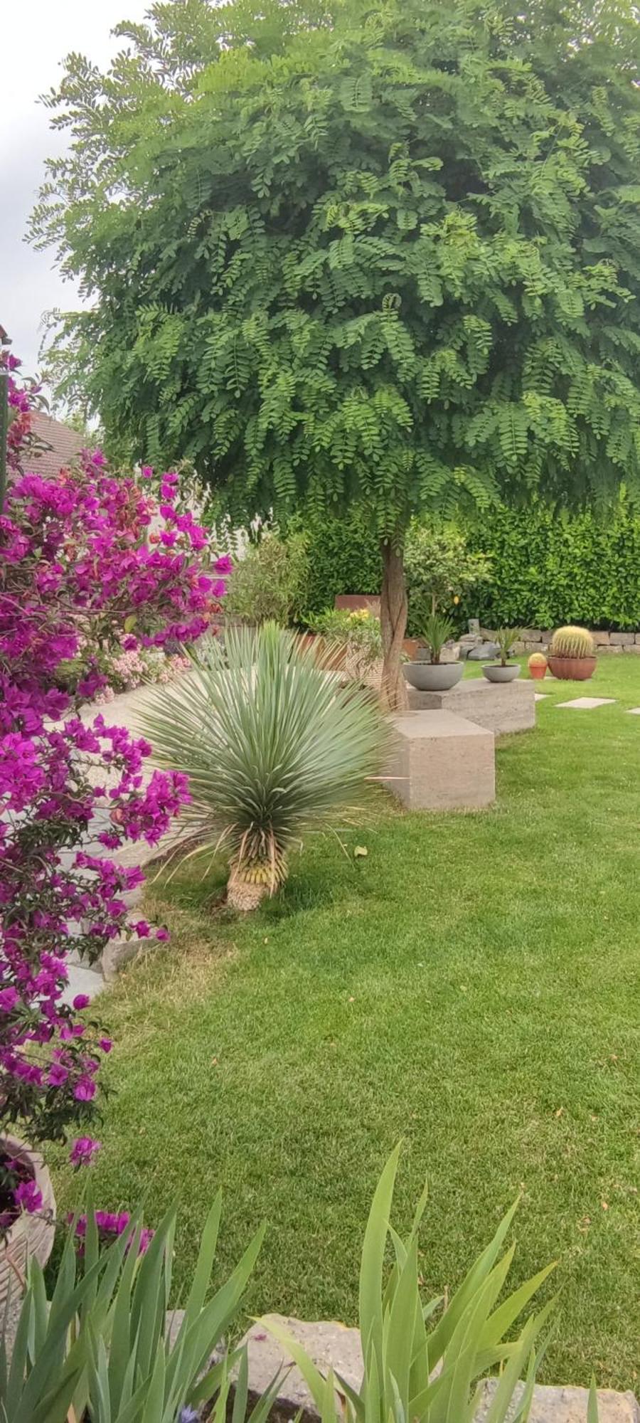 Bel Giardino FDH Exterior foto