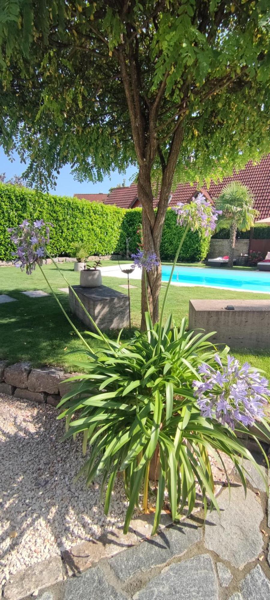 Bel Giardino FDH Exterior foto